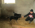 05042015 hunde1 171 05042015 hunde1 171
