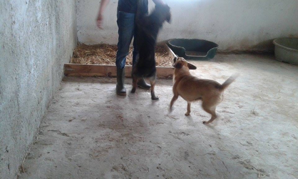 04052015 nowe13 04052015 nowe13