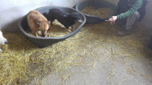 HUnde58 HUnde58