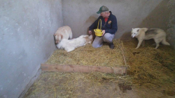 Hunde20 Hunde20