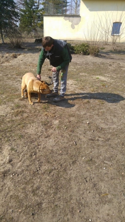 hunde121 hunde121