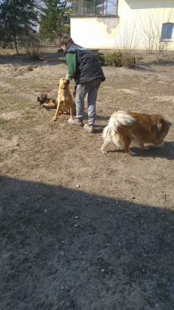 hunde124 hunde124