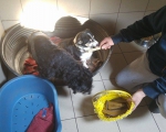 hunde143 hunde143