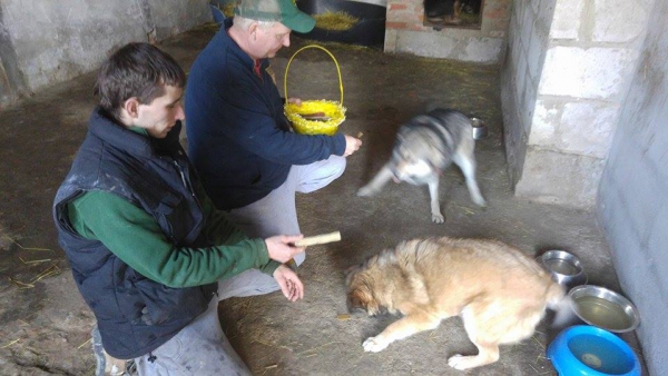 hunde148 hunde148