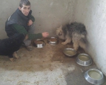 hunde97 hunde97