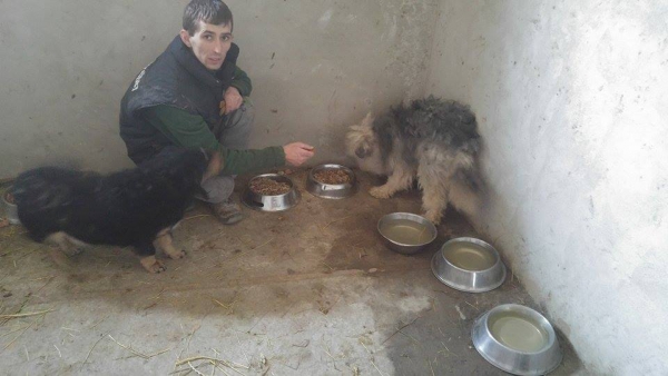 hunde97 hunde97