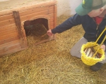 hunde196 hunde196