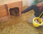 hunde197 hunde197