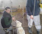 hunde208 hunde208
