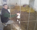 hunde209 hunde209