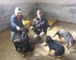 hunde213 hunde213