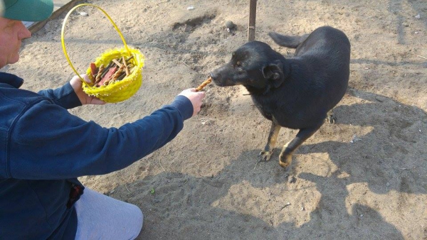 hunde218 hunde218