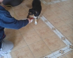 hunde254 hunde254
