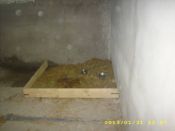 boxen5 boxen5
