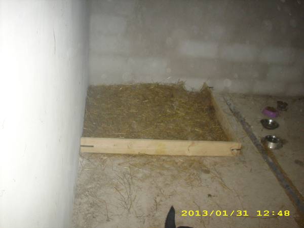 boxen6 boxen6