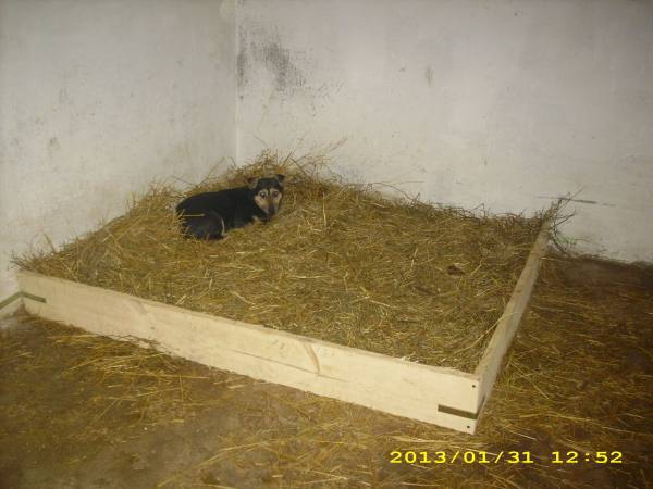 boxen9 boxen9