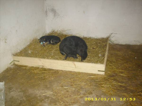 boxen10 boxen10