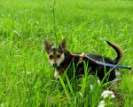 maja5