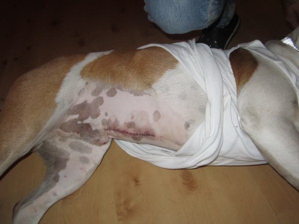 ares2 ares2