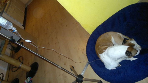 ares0608a ares0608a