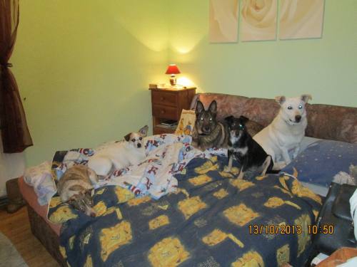 mein bed2 mein bed2