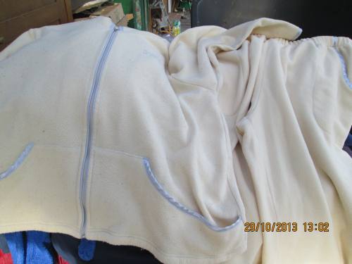29102013 Hornung5 29102013 Hornung5