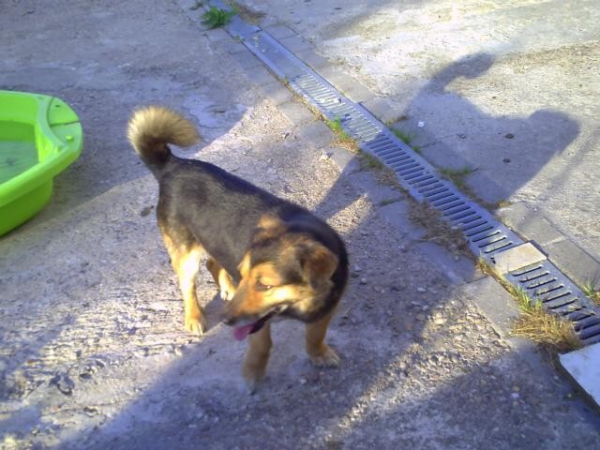 Sugar 9 Sugar 9