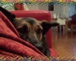 Frida2
