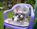 Bruno1