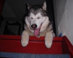 Nita3