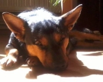 melvin1