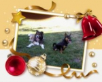 melvin und amy