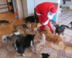 25122013 mikolaj 004
