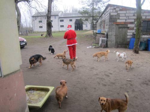 25122013 mikolaj 014