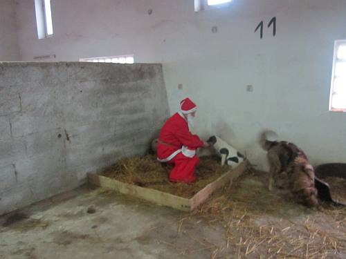 25122013 mikolaj 091