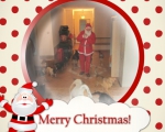 Nikolaus kommt