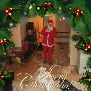 Nikolaus kommt1