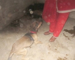 25122013 mikolaj 077