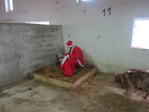 25122013 mikolaj 086 25122013 mikolaj 086