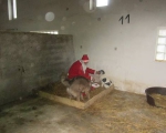 25122013 mikolaj 089 25122013 mikolaj 089