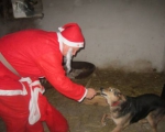 25122013 mikolaj 131