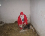 25122013 mikolaj 147