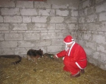 25122013 mikolaj 149