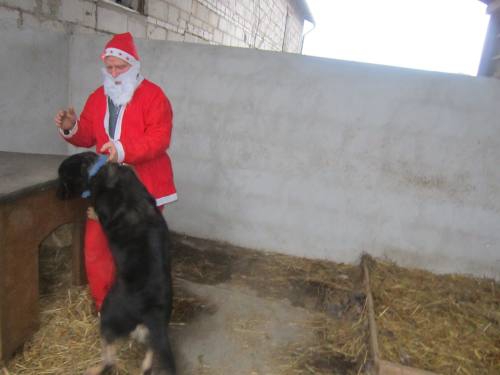 25122013 mikolaj 153