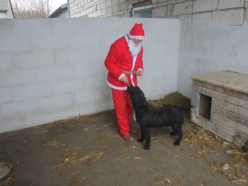 25122013 mikolaj 154 25122013 mikolaj 154