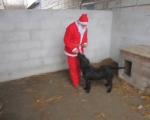 25122013 mikolaj 155