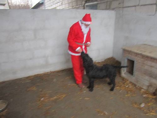 25122013 mikolaj 155 25122013 mikolaj 155