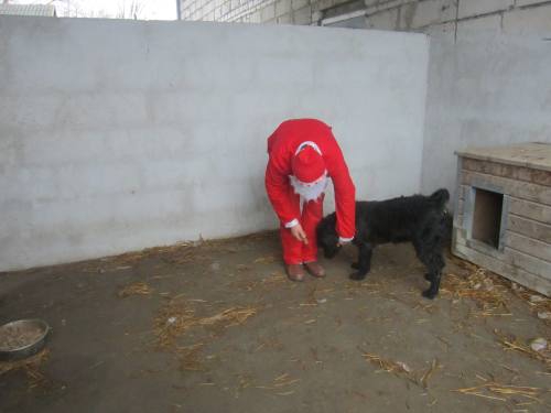 25122013 mikolaj 156