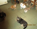 26122013hof 013