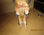 10012014 013